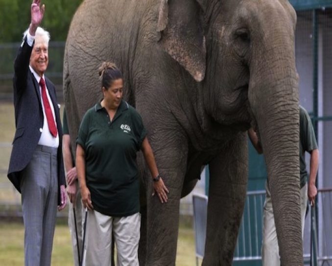 Bob Barker Welcomes Elephants to San Andreas Sanctuary