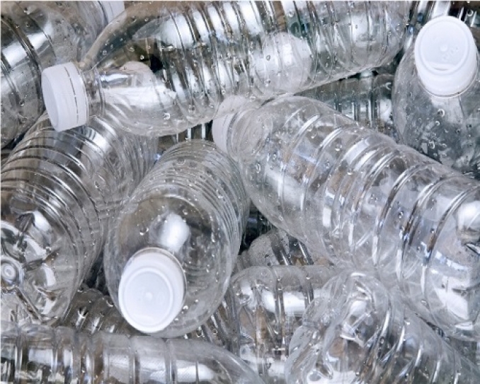 Development & reproduction affected by chemicals in bottled water