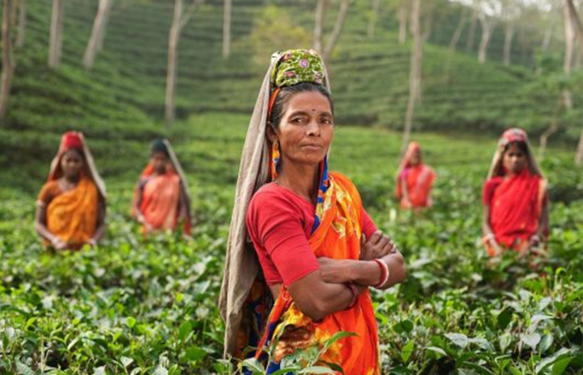 Women, Cities, And Opportunity: Making The Case For Secure Land Rights 