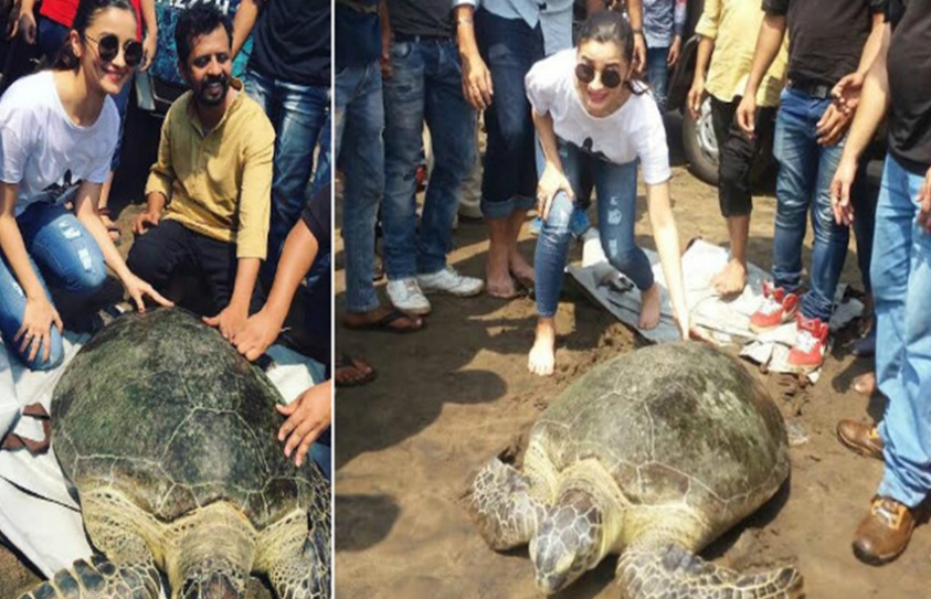Animal Lover Alia Bhatt Releases Turtle Back Into The Sea