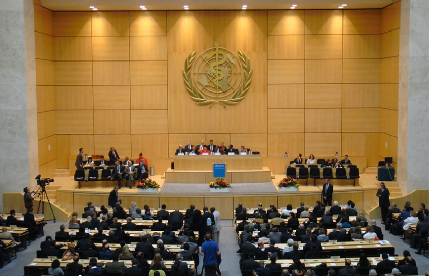 Seventieth World Health Assembly Opens In Geneva
