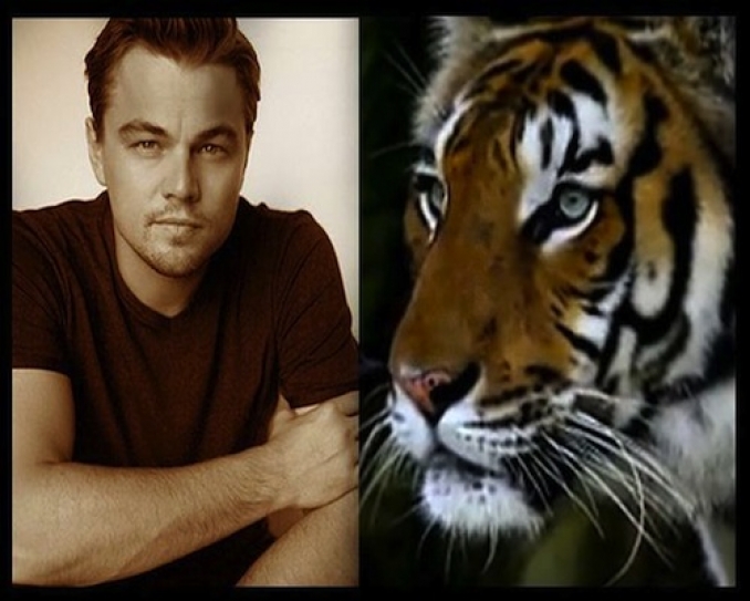 Leonardo DiCaprio Foundation donates $3 Million to Tiger conservation