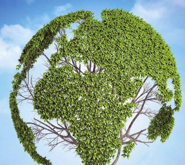 Climate-friendly investments key in sustainable development