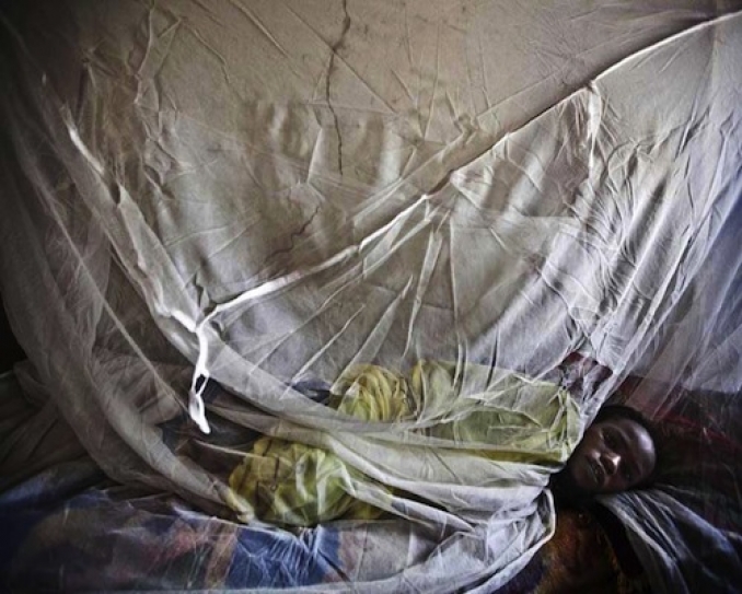Malaria deaths among children under five halved since turn of the century