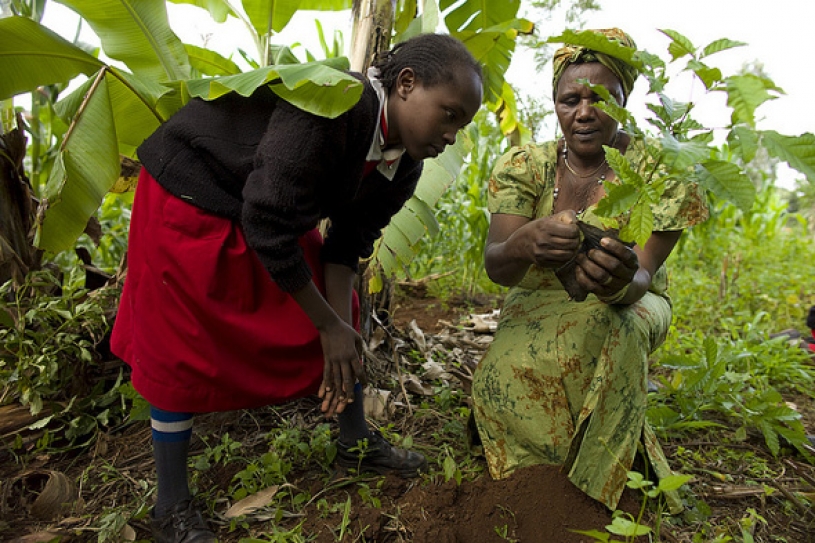 Kenya First to Earn Carbon Credits From Sustainable Farming