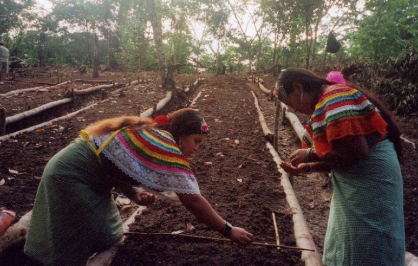Women Farmers in Chile to Teach the Region Agroecology