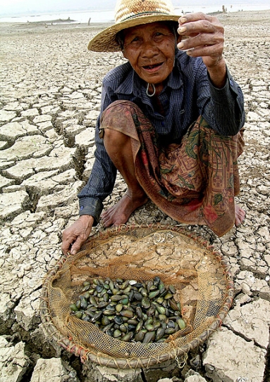 Food security, water and climate change