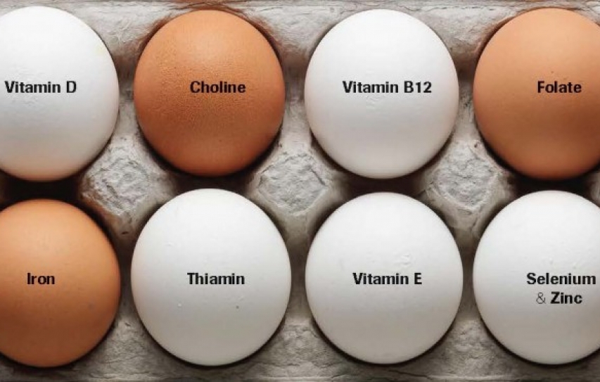 Here come cholesterol free and odourless eggs