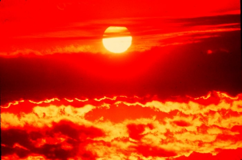 Deaths caused by heat will rise to average of 7,000 a year in 2050