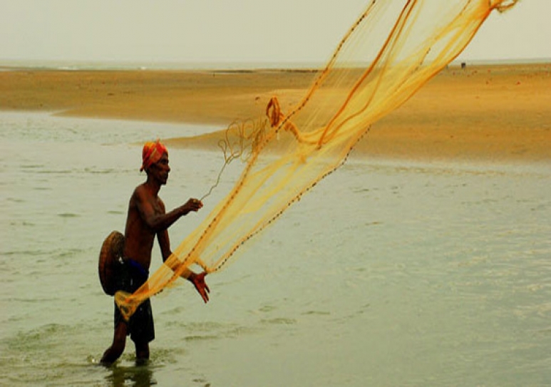 Climate change unites fishermen in Kutch, Sundarbans