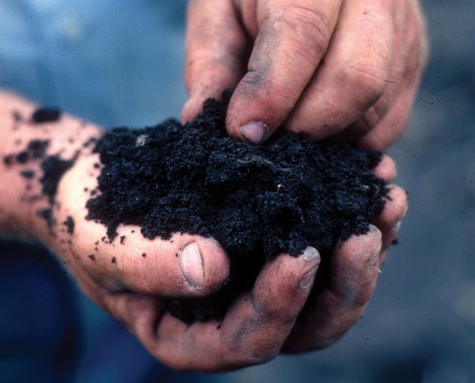 Soil health movement restoring agriculture