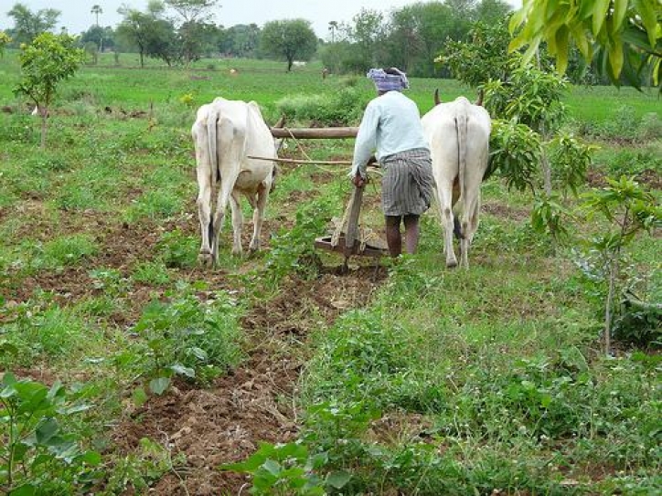 Indian agriculture facing sustainability issues