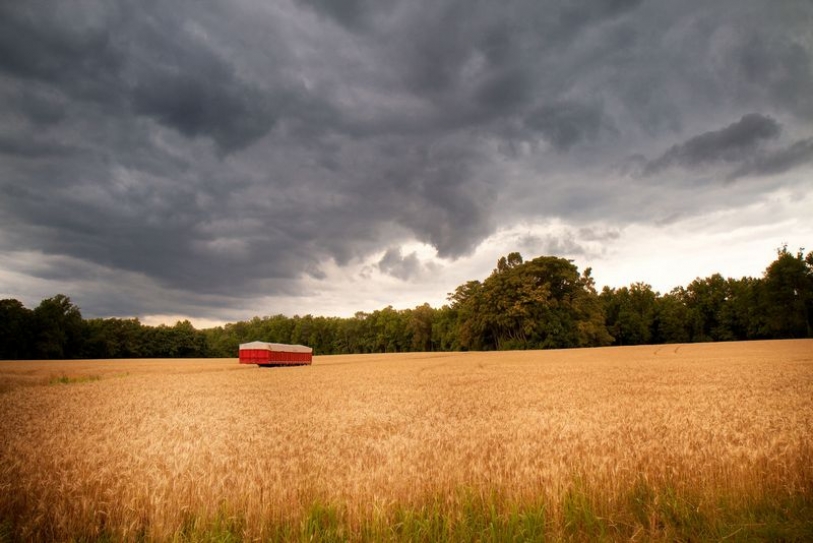 Climate change's potential impact must figure in food production efforts