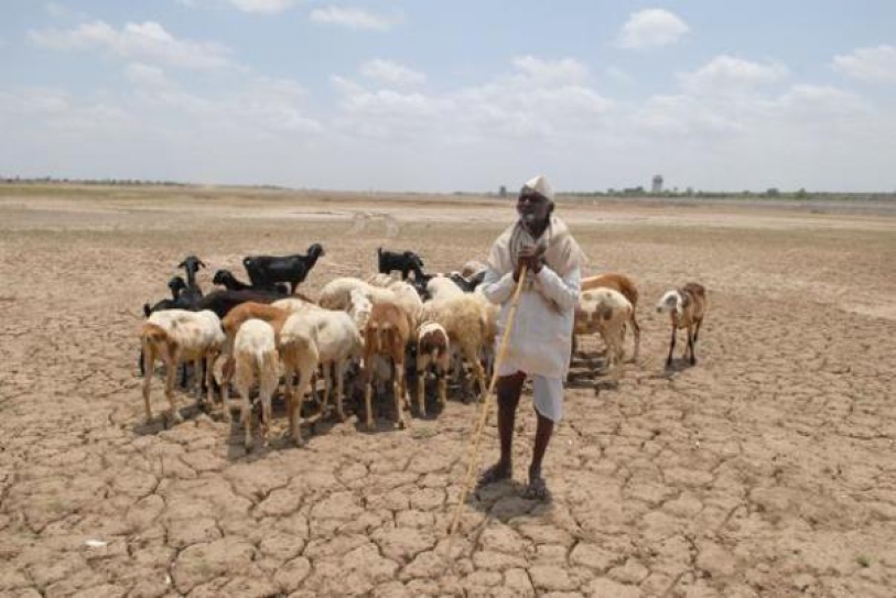 6 years on, Maharashtra has no climate-change action plan