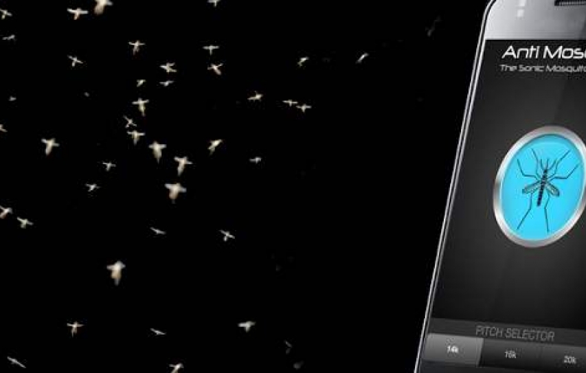 Mobile app to be drafted into battle against mosquitoes in Chennai