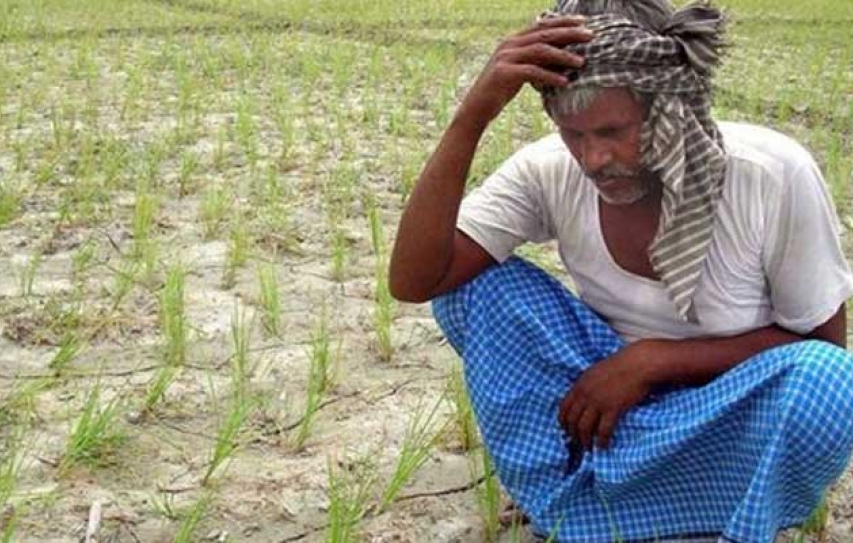 Children of farmers who committed suicide need help