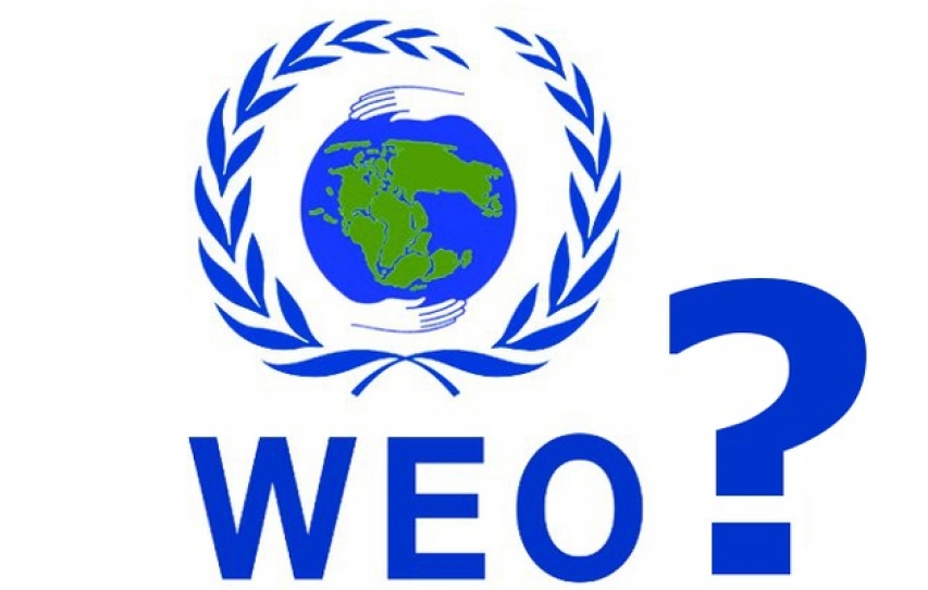 Why is there still no World Environment Organisation?