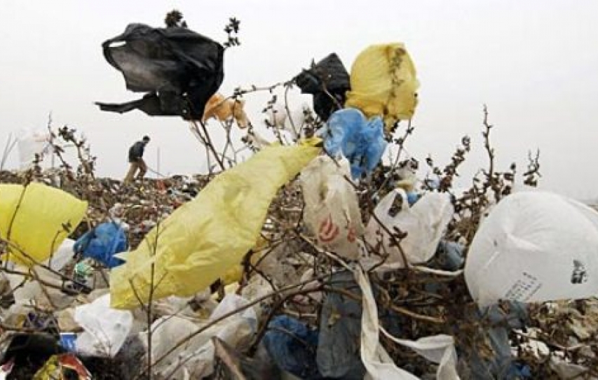 Agra bans plastic bags to curb pollution