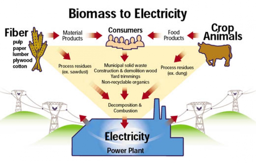 Sustainable energy through biomass