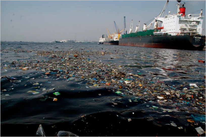 Sea Pollution Rate Alarming; Let’s Check It