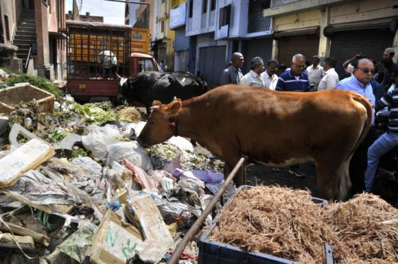Village to move court against Bengaluru civic body for illegal garbage dumping