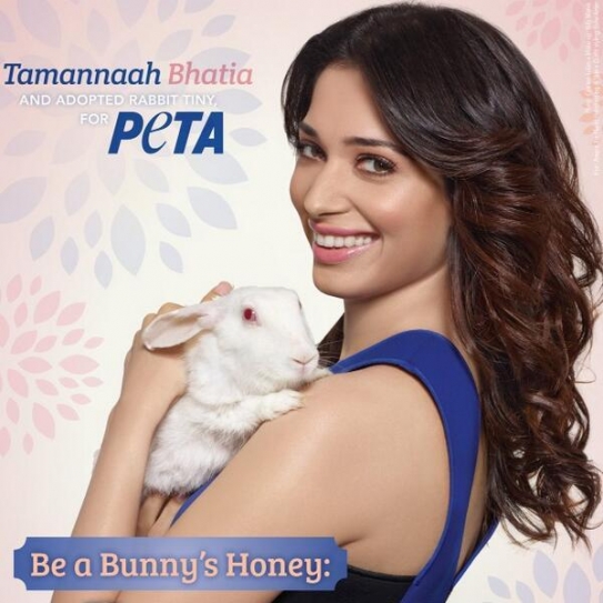 Tamannaah joins PETA to fight animal cruelty