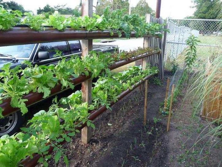 Grow food anywhere
