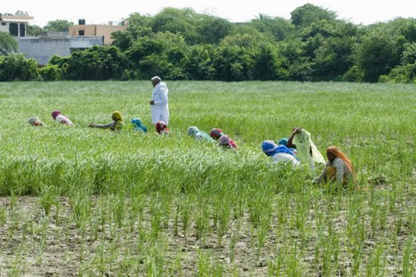 Has Indian agriculture turned the corner?