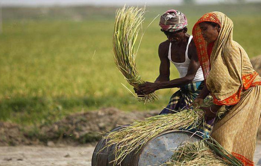 Climate change may slowdown crop production in 20 yrs