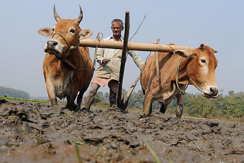 Centre warns of possible drought in western India