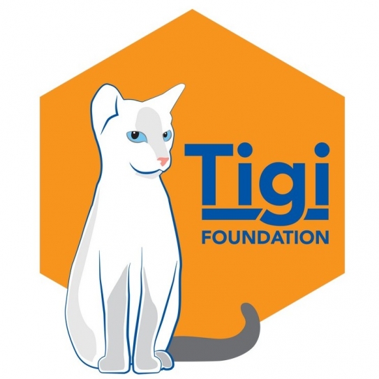 Bollywood celebs unite to raise funds for TIGI Foundation