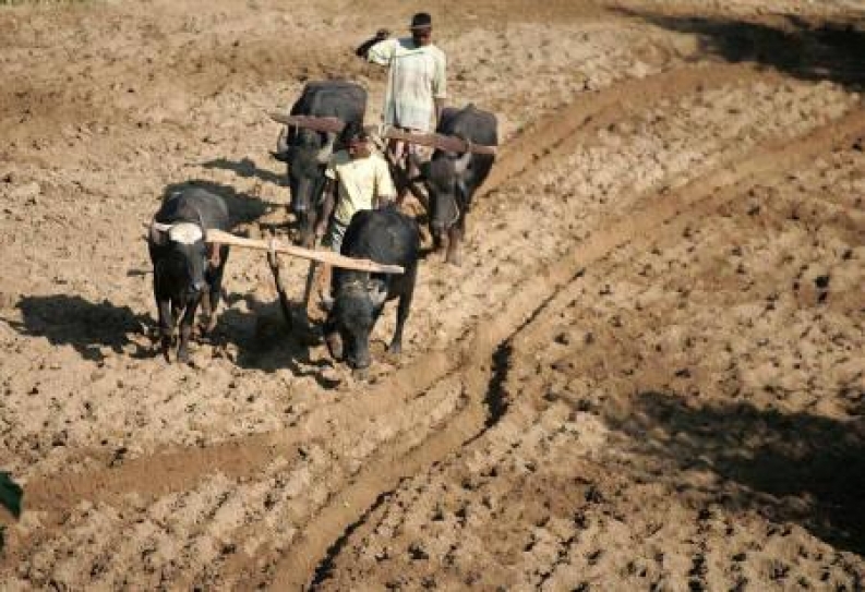 Sustainable farming need of the hour for parched Jharkhand