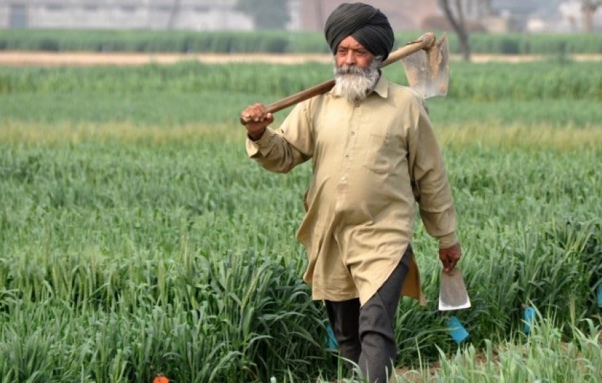 India's 'Climate Smart' Villages Target Sustainable Agriculture