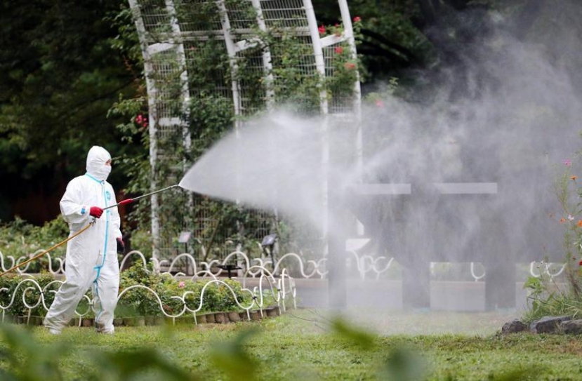 Rare outbreak in Tokyo as WHO warns of spread of dengue fever