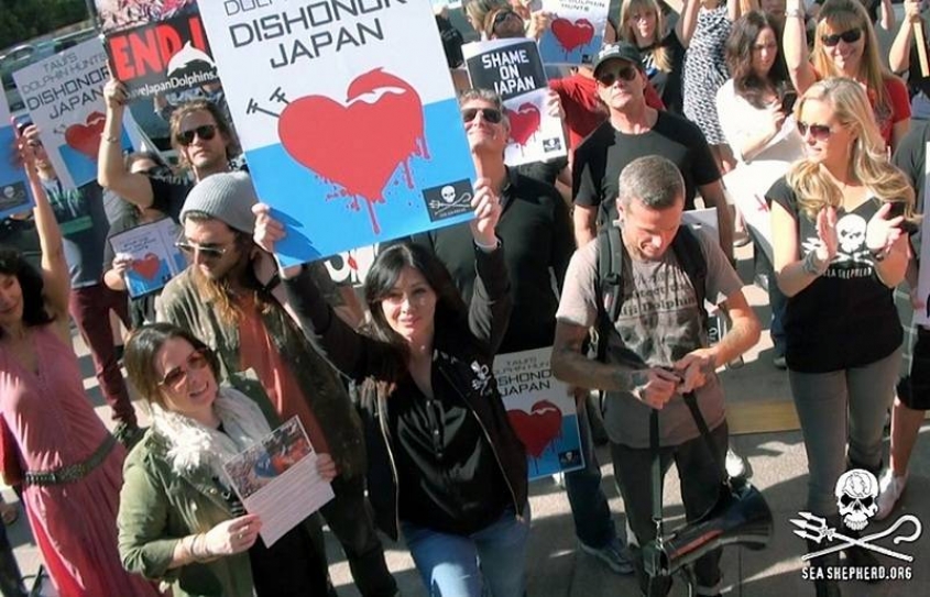 Shannen Doherty Visits Japan To Raise Awareness Of Horrific Dolphin Hunt