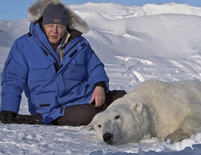 David Attenborough: Leaders don't take climate change seriously