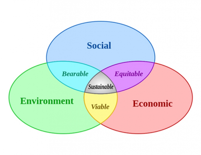 Sustainable development  by, for people