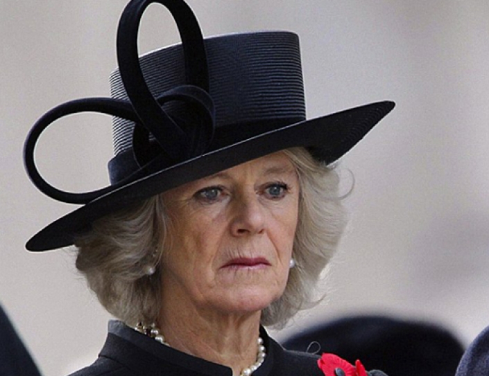 Duchess Of Cornwall Announced As President Of Women Of The World Festival