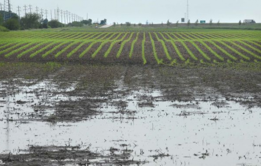 Ill-timed Rain Damages Crops in 1.8cr Hectares Across 13 States