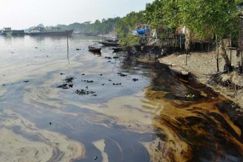 Environmental damage in Sundarbans cost a fortune: World Bank