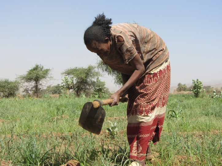 How Can We Empower Women In Agriculture To End Hunger?