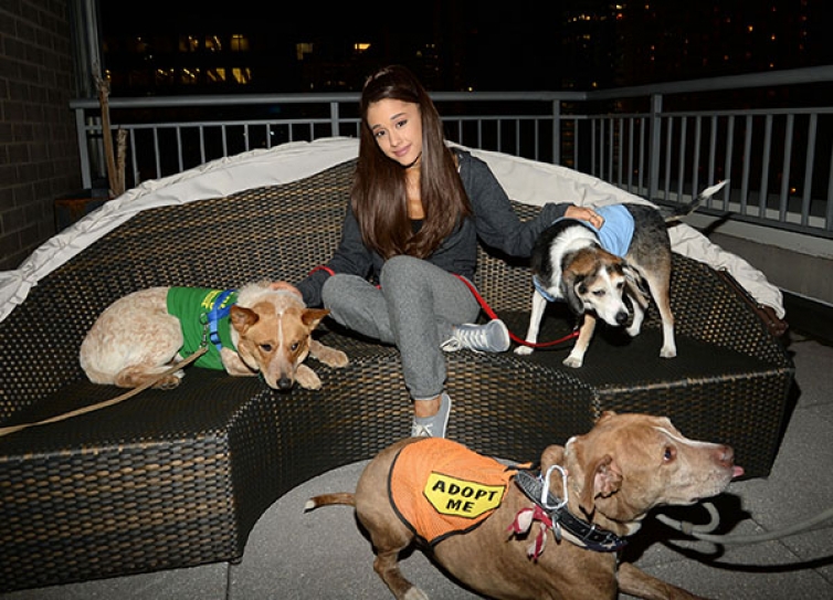 Ariana Grande Launches Dog Adoption Initiative