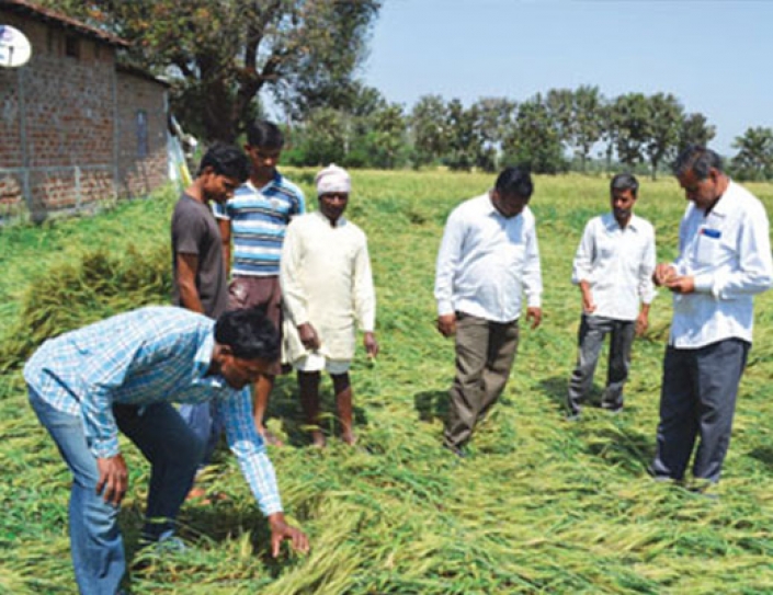 Holistic Approach To Farming Can Mitigate Agrarian Crisis: M S Swaminathan