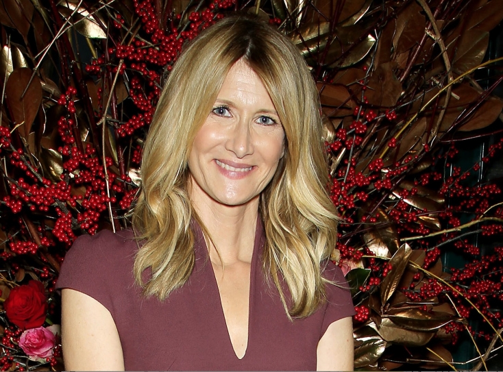 Laura Dern: There Are Too Few Women Directors In Hollywood.