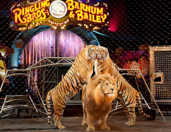 Stars Call On Ringling To Retire All Exotic Animals
