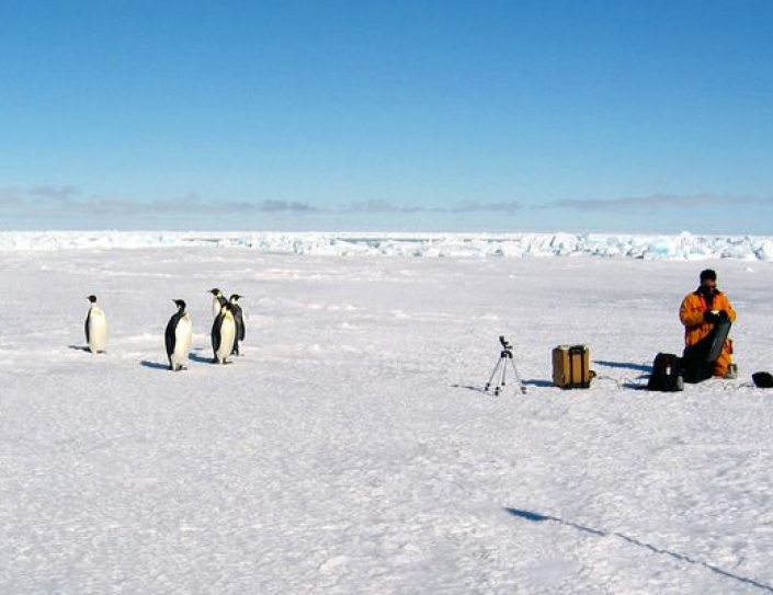 Just Because Antarctica Might Be Gaining Ice Doesn't Mean Climate Change Isn't Happening