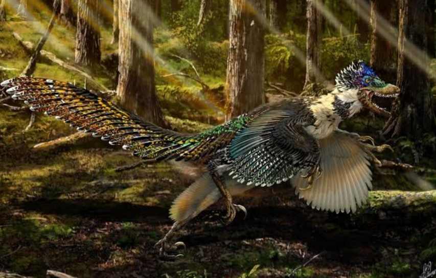 The Eight Best Extinct Species Discovered In 2015