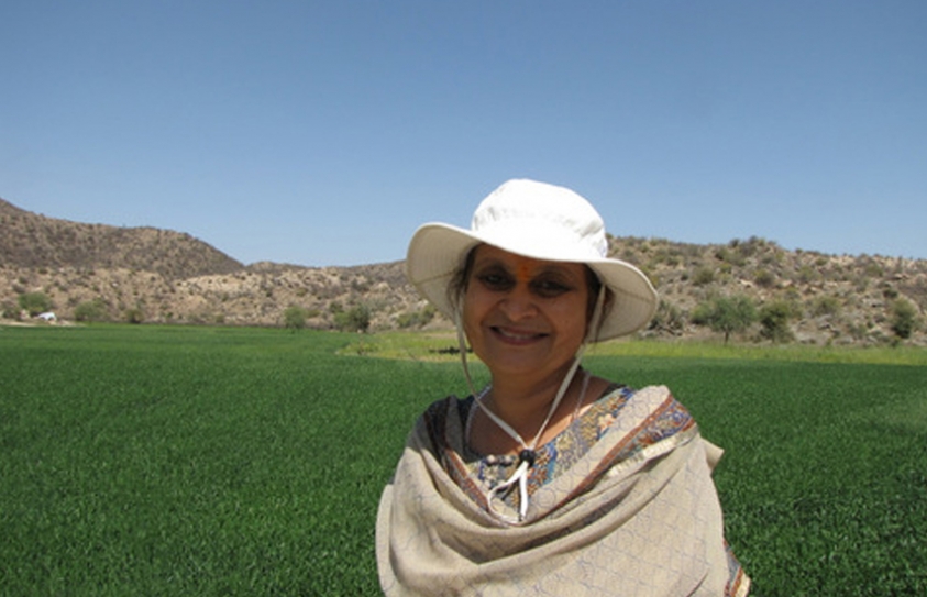 How One Woman Made 100 Villages In Rajasthan Fertile Using Traditional Water Harvesting Methods