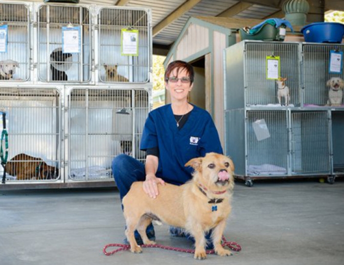 How Smart Animal Shelters Aim For ‘Zero Kill’