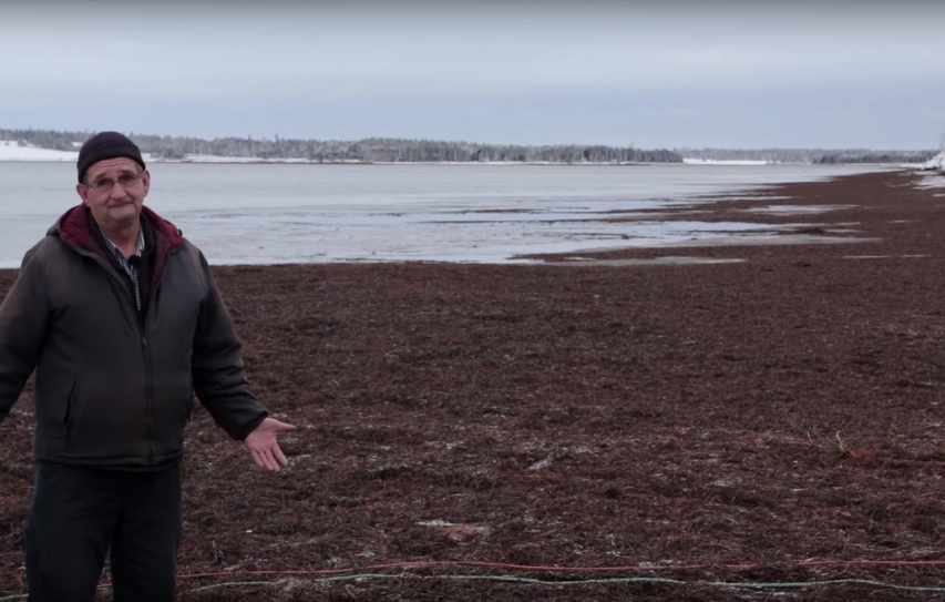 Watch Climate Change Eat This Canadian Island